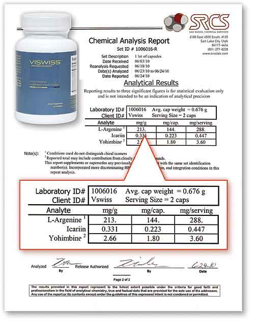 Viswiss Lab Report