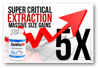 Does Xantho Rx Really Work?