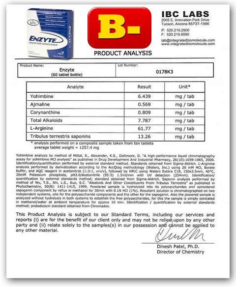 Enzyte Lab Report