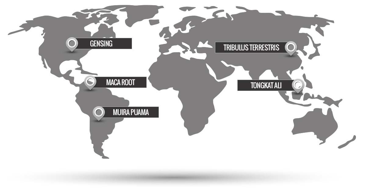 Ingredients found in Biomanix