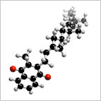 prostate supplements