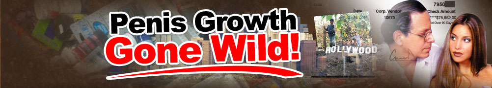 The Truth to Effective Penise Enlargement