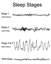 Seven Steps to a Healthy Prostate