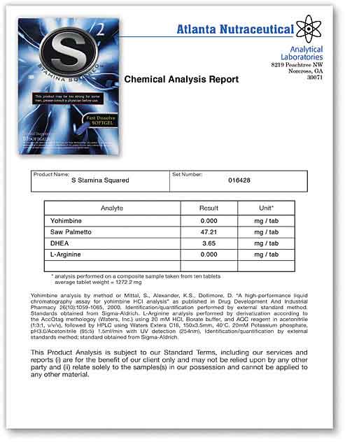 Stamina Squared Lab Report